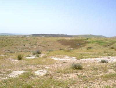green Negev